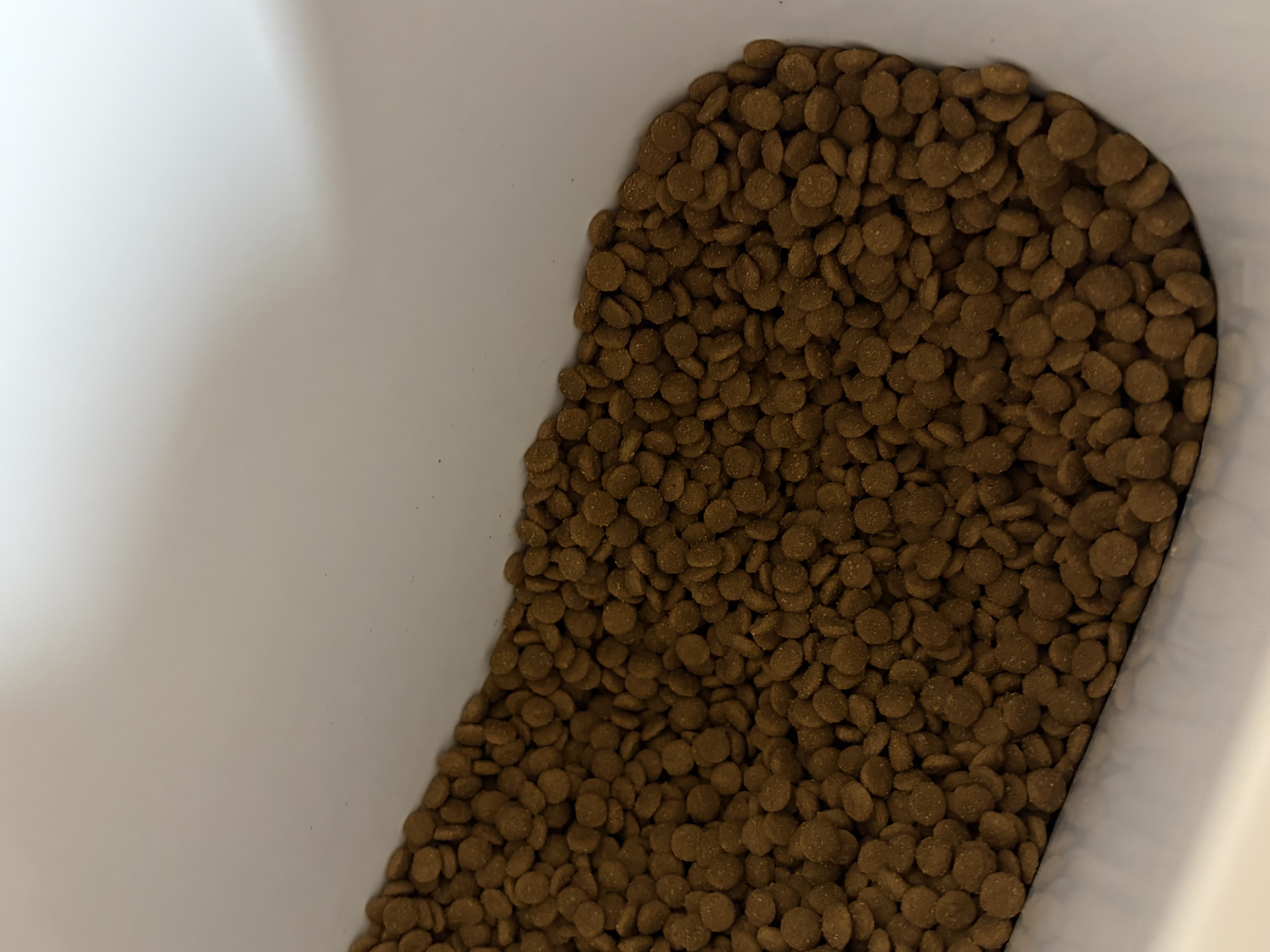 素力高（SolidGold）猫粮金素鸡 成猫幼猫进口高蛋白3磅/1.36kg【试吃装】 实拍图