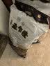 孟乍隆 清莱府茉莉香米 大米20斤 泰国香米原装进口 进口大米 长粒米  实拍图