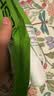 有棵树【肌理短筒】袜子女夏季纯棉10A抗菌吸汗透气防臭抗起球休闲短袜 实拍图