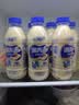 妙恋菌养道乳酸菌饮料0蔗糖0脂肪原味益生菌发酵500ml*6瓶装 实拍图