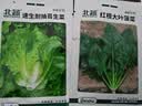 北蔬萝卜白菜籽香菜菠菜胡萝卜生菜秋冬菜种 10种秋冬季蔬菜种子套餐 实拍图