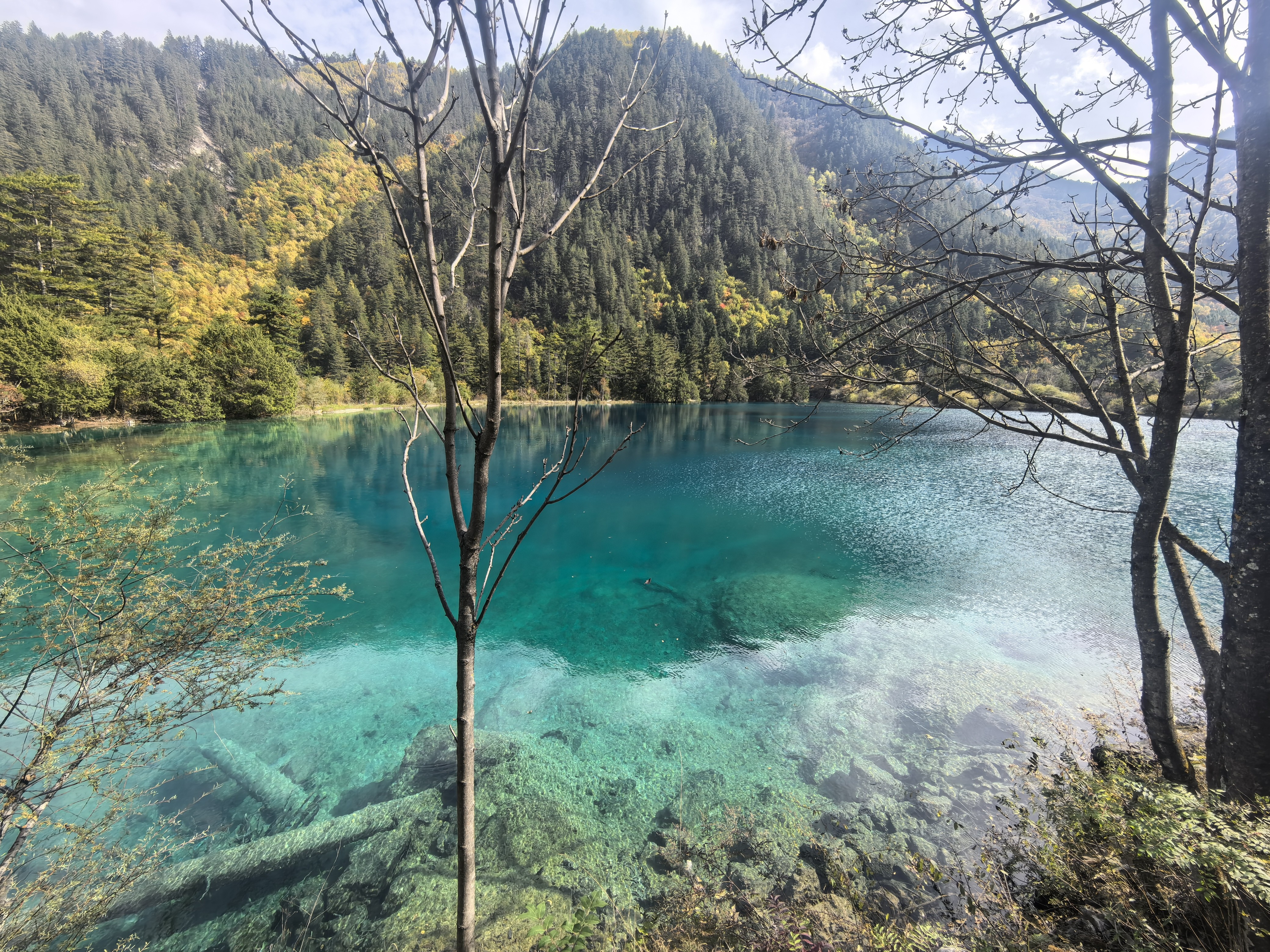 唯卓仕56mm F1.7镜头自动对焦大光圈定焦人像镜头适用于X卡口Z卡口E卡口微单数码相机镜头摄影摄像 AF 56mm F1.7 Air Z（尼康口） 镜头官方标配 实拍图