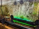 仟湖鱼缸杀菌灯迷你UV紫外线消毒灯除藻去绿水11w灭菌灯水族净水专用 实拍图
