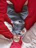 欧育男童套装宝宝周岁衣服春秋冬礼服婴儿花童主持人西装抓周绅士生日 S2034灰色马甲+衬衣+裤子三件套 90 (身高78-86体重20-24斤) 实拍图