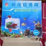 鱼缸水族箱专用孵化器小鱼隔离盒网热带鱼繁殖箱产盒孵鱼槽 小号隔离网盒(带隔板 粗孔1mm) 实拍图