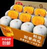 新疆银板栗南瓜粉糯流沙状板栗香味浓蒸煮烤各方式都好吃特产生鲜 银板栗南瓜净重 5斤 实拍图