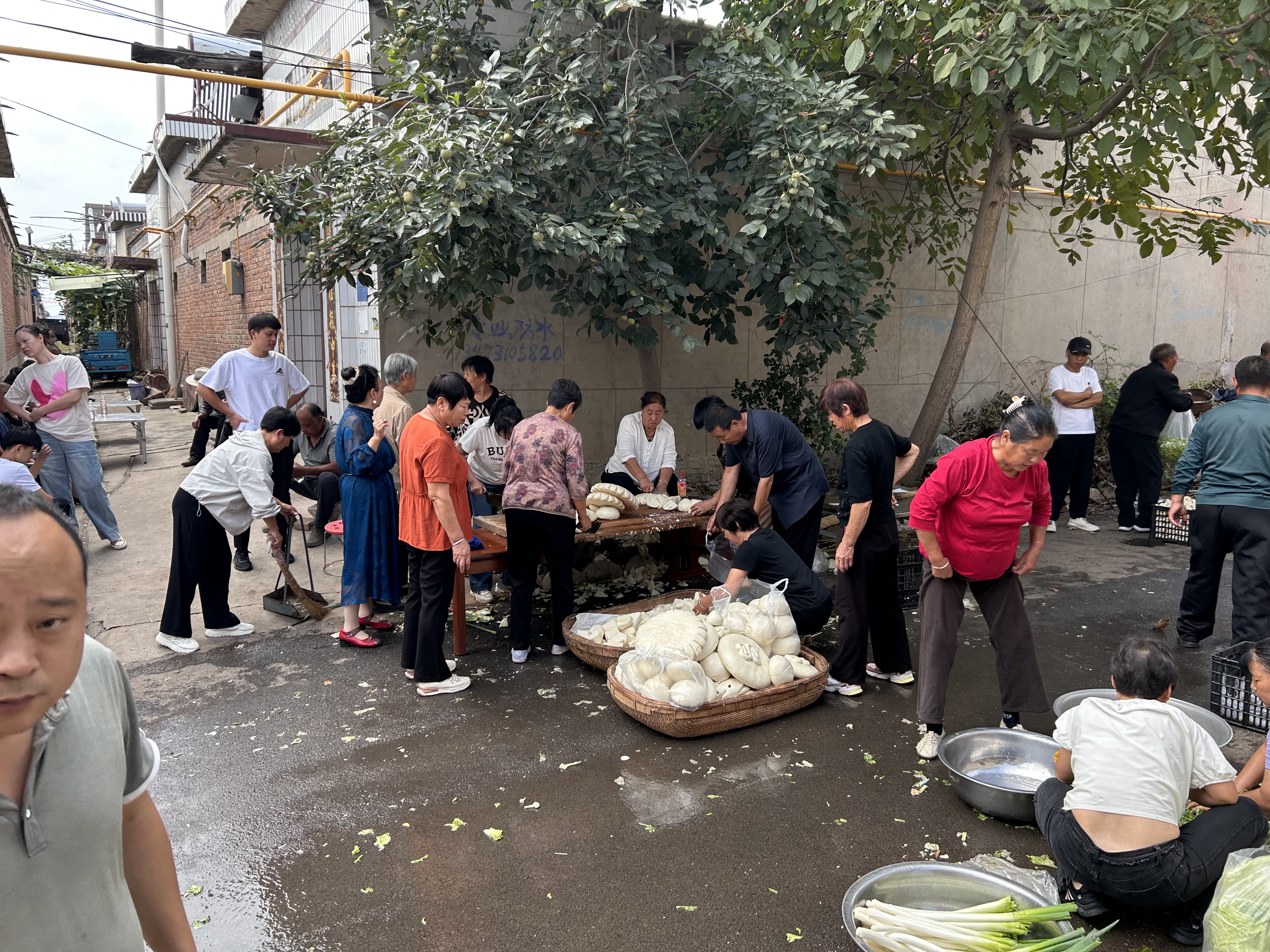 多力【保真菜籽油】芥花油5L 非转基因食用油粮油植物油 实拍图