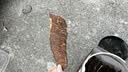 麦臻选【麦德龙超市】薄脆牛肉片120g罐装原味内蒙特产零食薄切肉干 实拍图