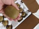 京地达蒲江红心猕猴桃 20枚特大果单果100g+ 奇异果水果源头直发包邮 实拍图