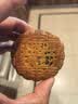 杏花楼广式月饼礼盒上海糕点心伴手送礼品中秋团购老字号嫦娥铁盒800g 实拍图