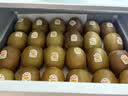 佳沛（zespri）新西兰金奇异果12粒特大果124-146g猕猴桃水果礼盒 实拍图