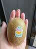 佳沛（zespri）金奇异果25-27粒原箱特大果124-146g猕猴桃中秋节礼品送水果礼盒 实拍图
