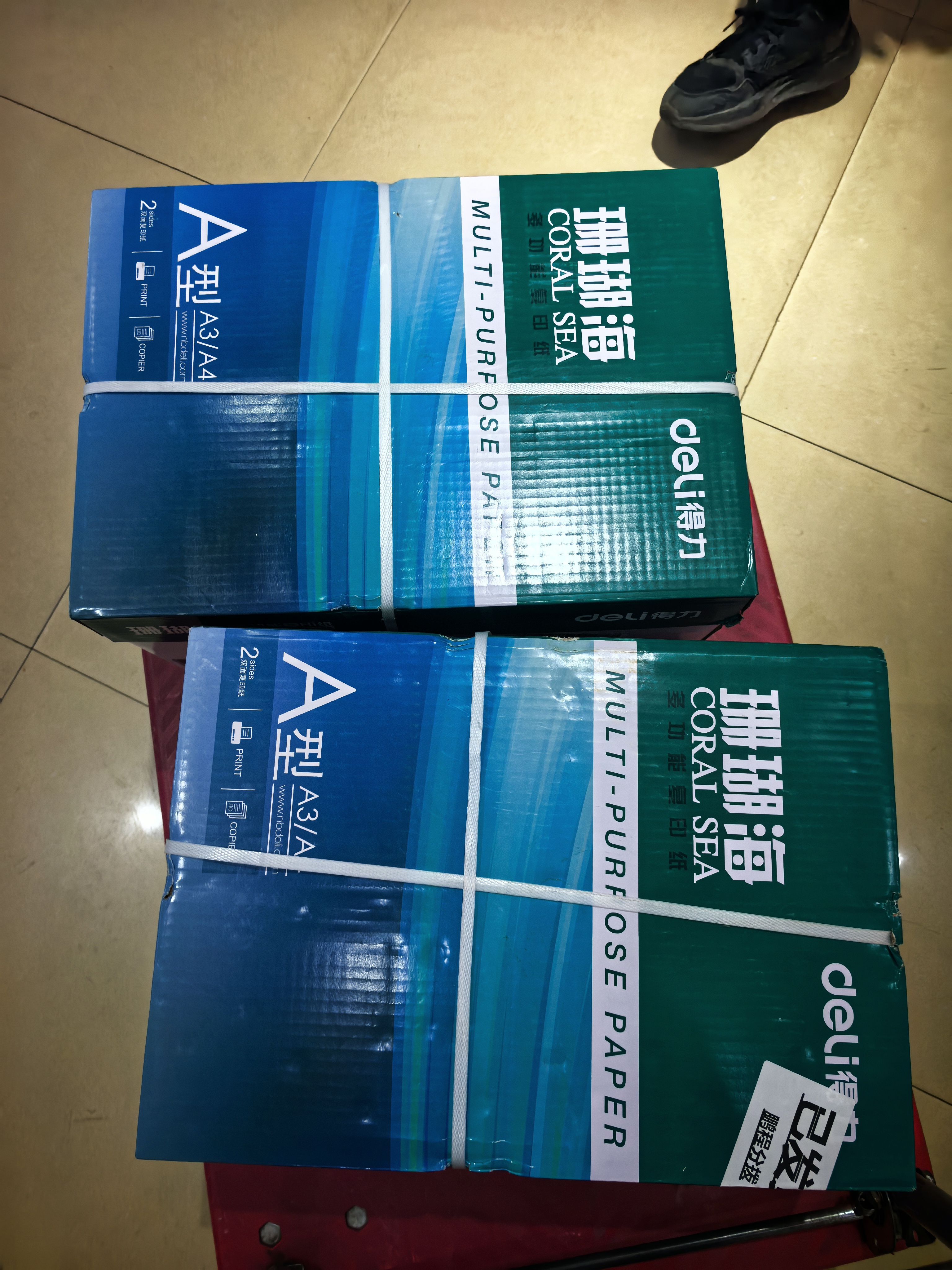 得力（deli）珊瑚海A4打印纸 70g500张*10包一箱 双面复印纸 企业采购优选 整箱5000张7363 实拍图