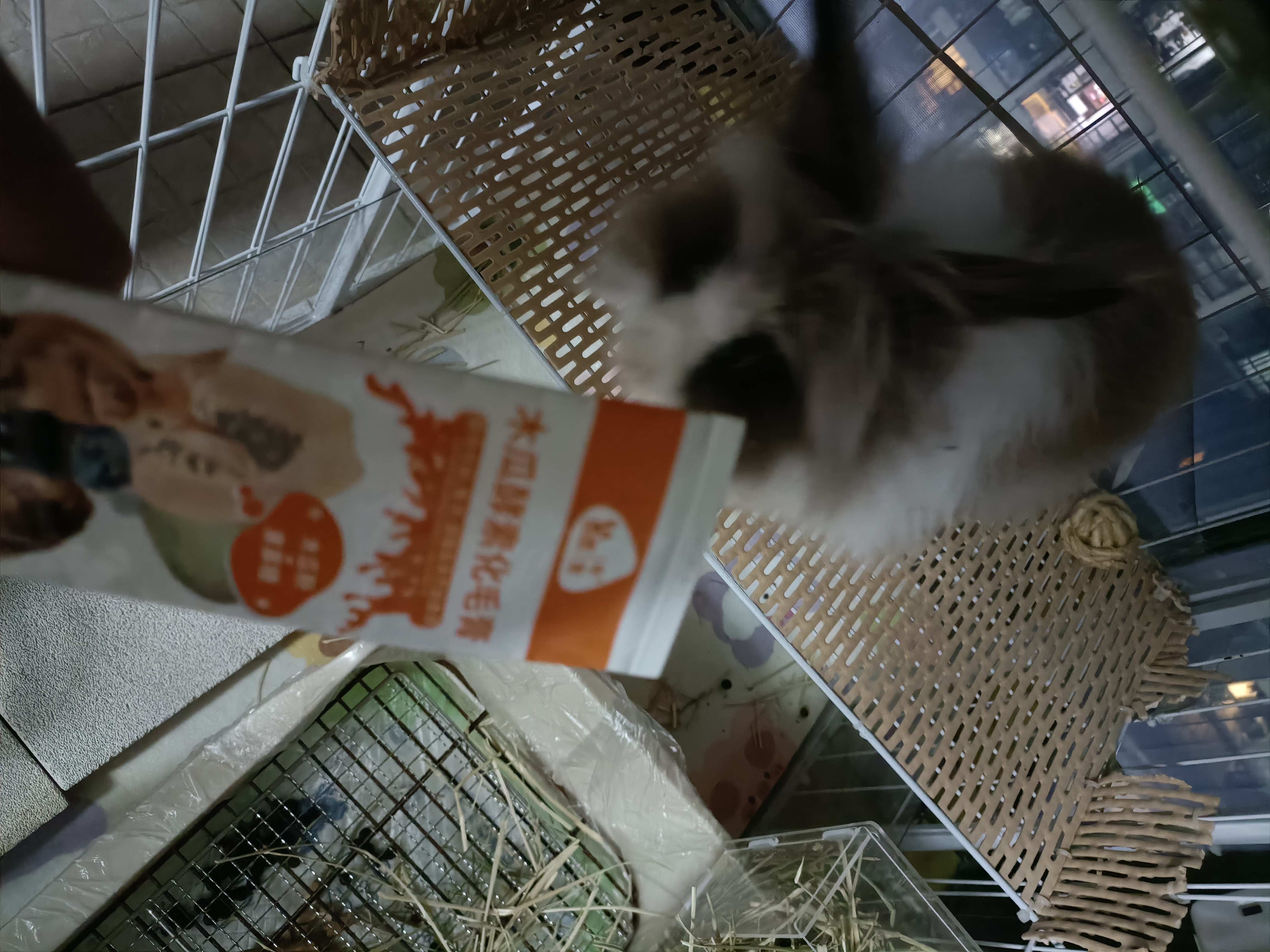 牛宠木瓜酵素化毛膏兔子荷兰猪仓鼠龙猫豚鼠金丝熊专用排毛球用品120g 实拍图