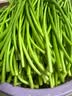 京鲜生河南红帽蒜苔 净重4.5斤 新鲜蒜薹饱满粗细适中 源头直发包邮 实拍图