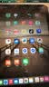 Apple/苹果 iPad mini (A17 Pro) 8.3英寸 平板电脑(512G WLAN版/mini7/MYH23CH/A)星光色 实拍图