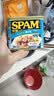 世棒（SPAM）午餐肉罐头清淡口味340g 早餐火锅烧烤香锅 泡面户外露营即食 实拍图