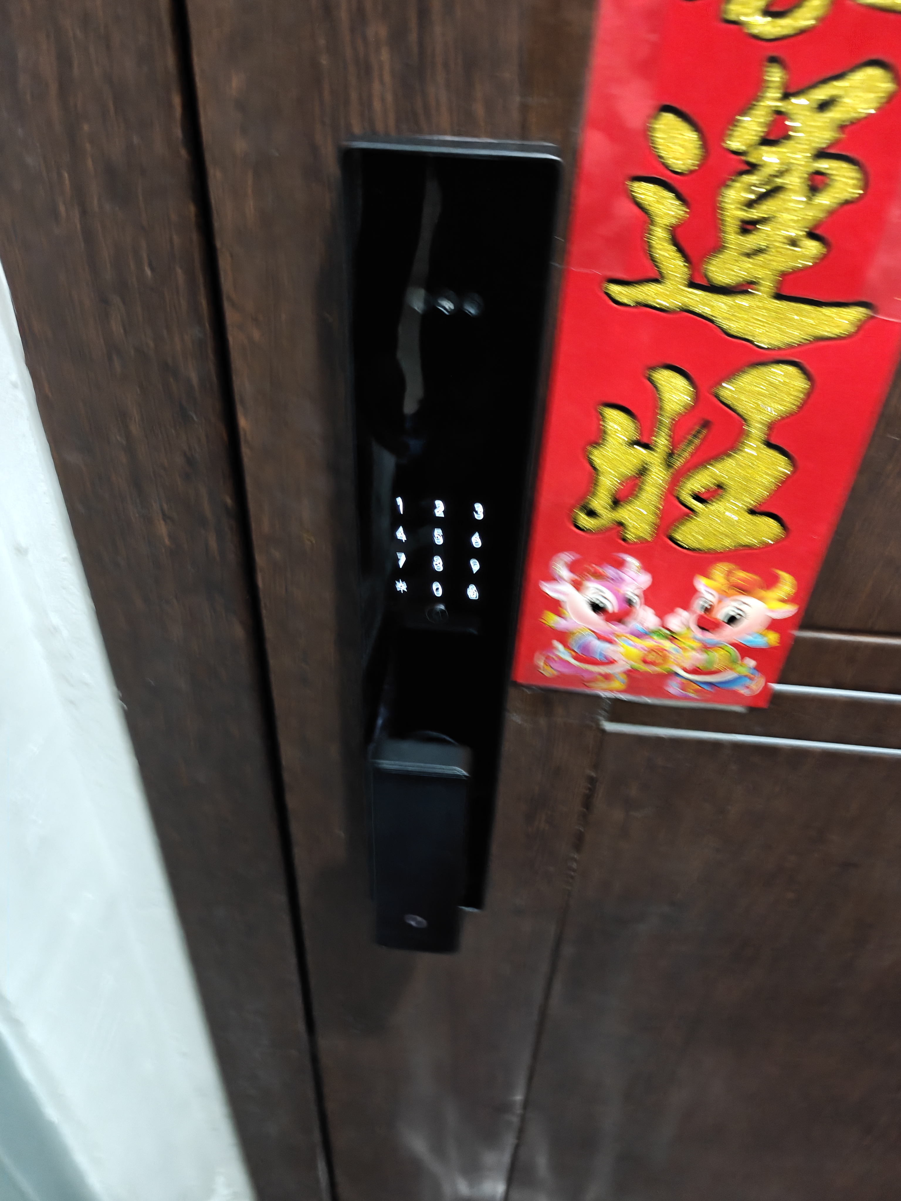 京东京造智能门锁M30 人脸识别全自动指纹锁 电子锁密码锁摄像头防盗门锁 实拍图