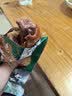 沟帮子鸡腿70g*5袋装 5口味 休闲零食熟食独立包装中华老字号 实拍图