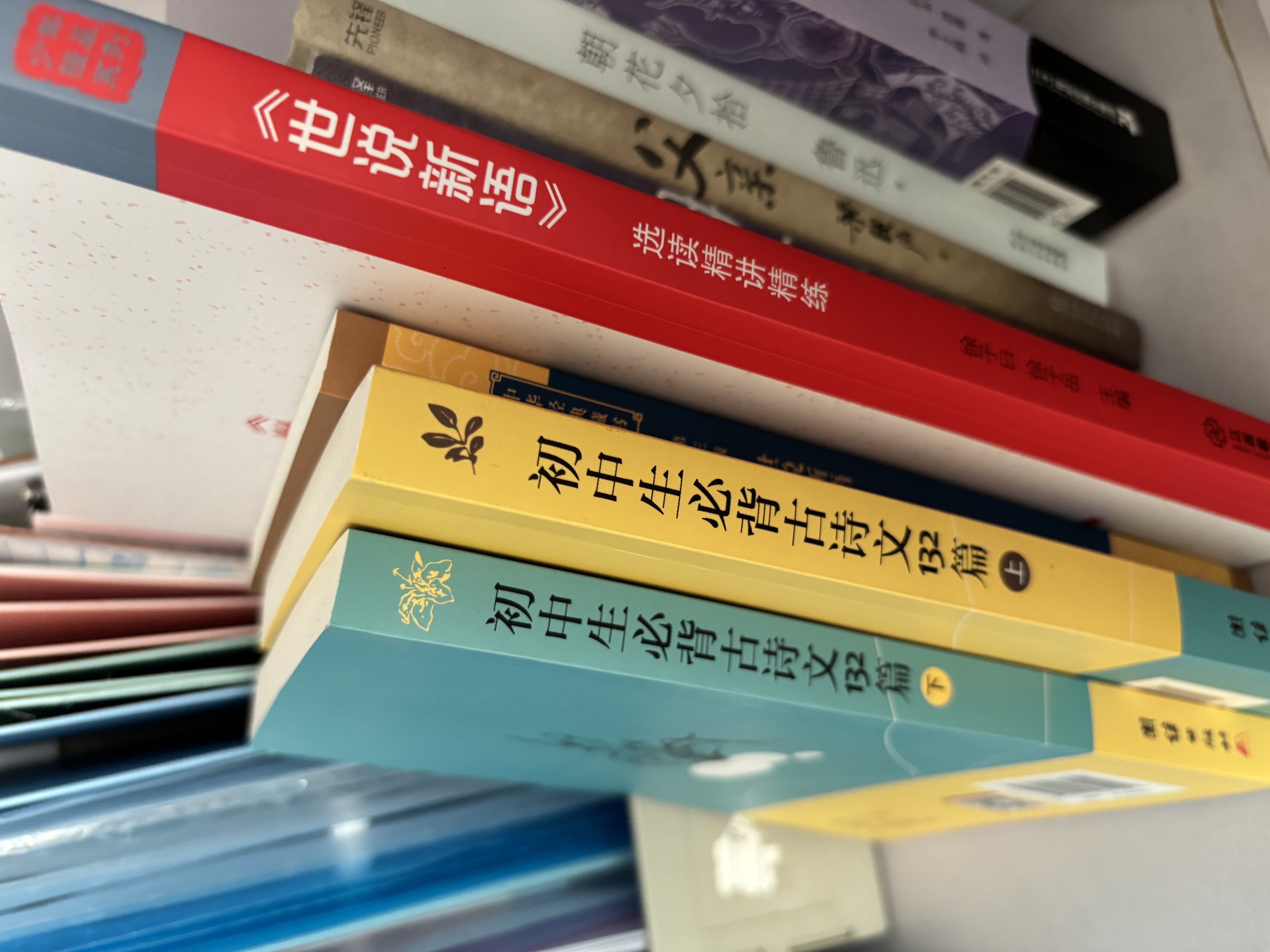 自营包邮 羊道·春牧场 李娟作品 另著我的阿勒泰羊道三部曲遥远的向日葵地等 实拍图