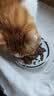 猫乐适乐味多泰国进口猫罐头宠物猫粮成猫幼猫猫咪湿粮猫零食 乐味多85g*12 实拍图