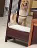 憨憨乐园伊丽莎白圈耻辱圈狗狗猫项圈猫咪头套宠物脖套大型犬防咬圈用品1 实拍图