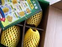 佳沛（zespri）新西兰金奇异果4粒103-114g猕猴桃源头直发中秋节礼品送水果礼盒 实拍图
