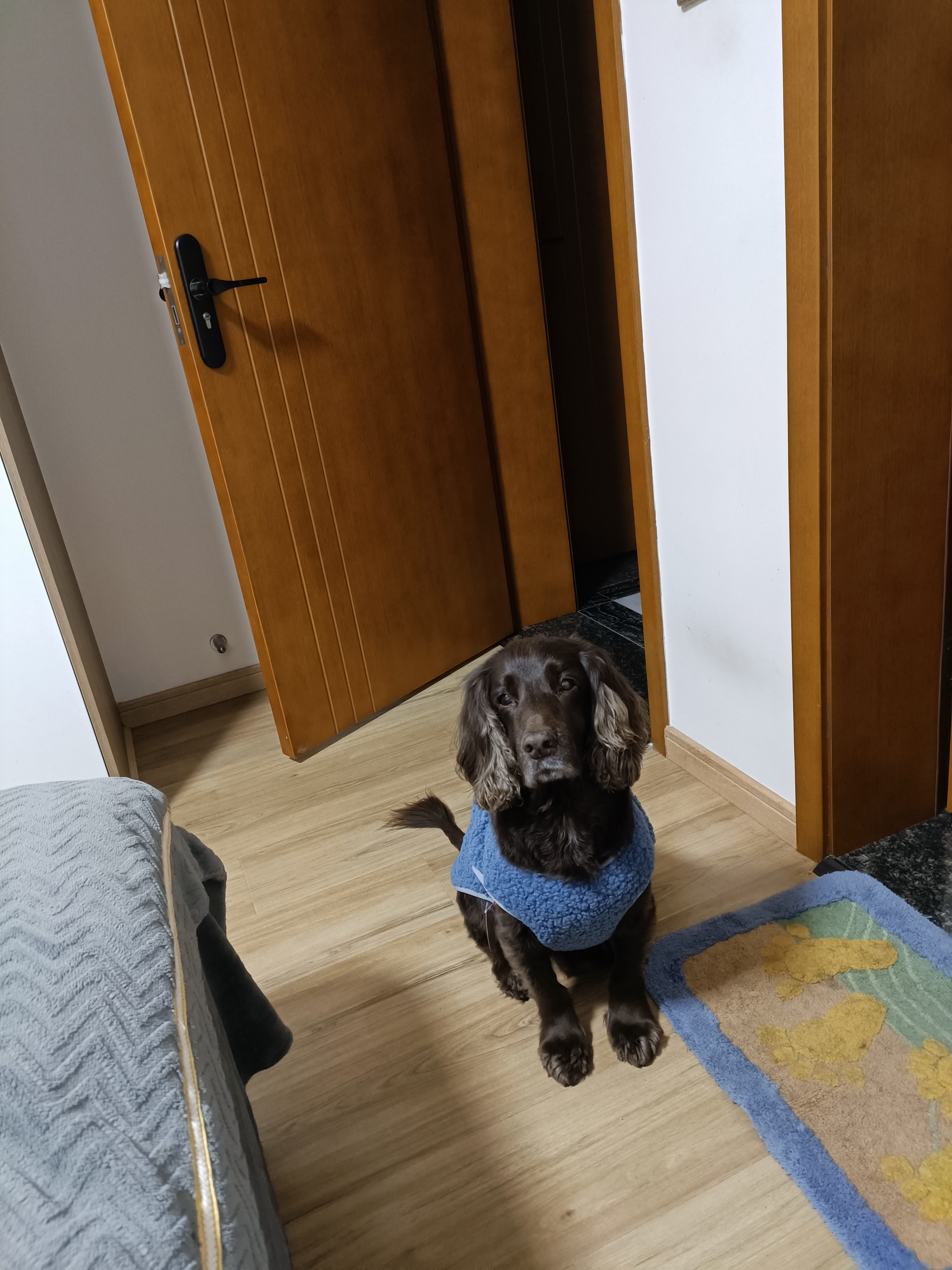 愛肯拿（ACANA）狗粮 通用成犬幼犬 经典鸡肉草原天然犬粮11.4kg效期27/6 实拍图