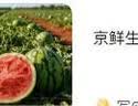 京鲜生 无籽麒麟西瓜 1粒装 净重5-7斤 生鲜水果 实拍图
