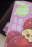 蒙牛真果粒牛奶饮品东魁杨梅味含乳饮料250g×12盒 卡皮巴拉中秋礼盒 实拍图