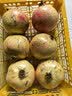 京鲜生会理突尼斯软籽石榴 4.5-5斤单果300g+ 生鲜水果 源头直发 实拍图