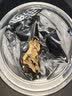 方家铺子正宗甘肃精选1.2-1.4CM黄芪片120克 切片黄芪中药材补健气脾元气 实拍图