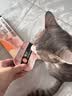领先成猫尝鲜礼包主食级烘焙猫粮猫条餐盒汤包（新老款随机发货） 实拍图
