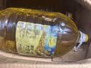 金龙鱼 食用油 非转基因 物理压榨玉米油6.18L（蕴含植物甾醇） 实拍图