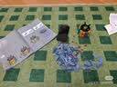乐高（LEGO）积木10311 心动的信号同款兰花永生花男女孩玩具生日礼物赠礼袋 实拍图