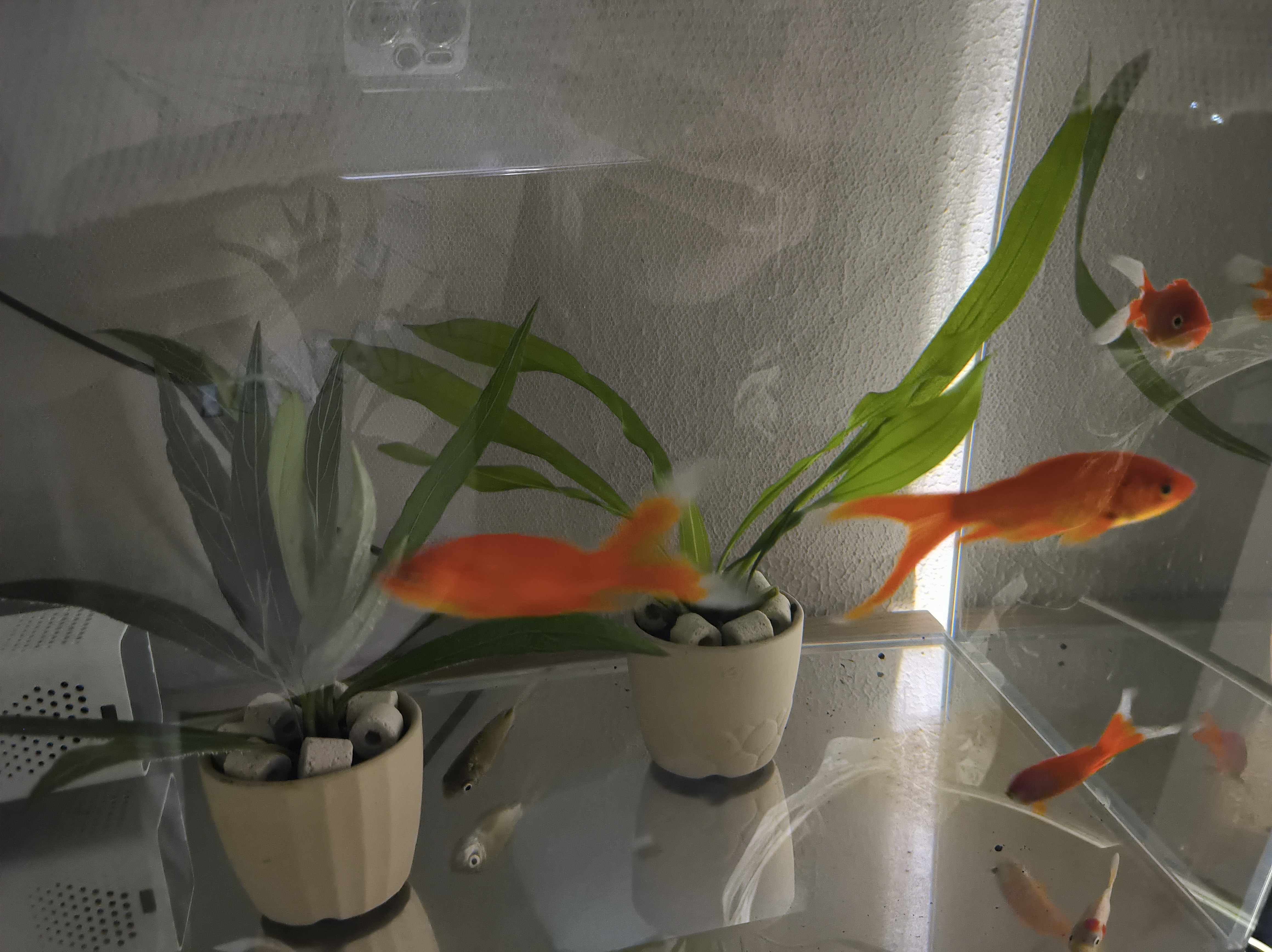 YEE鱼缸金晶超白金鱼裸缸8060家用客厅桌面小草缸龟缸玻璃生态溪流缸 【送上楼】60*30*35cm*6mm裸缸【推荐】 实拍图