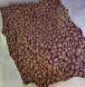 台派狗粮牛肉味肉粒双拼金毛拉布拉多中大型成犬专用狗干粮20kg 实拍图