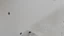 零树 实木床主卧双人床单人床【包安装】1.2m*2m床+5cm椰棕床垫JY-002 实拍图