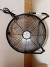 金羚（JINLING）家用电风扇趴地扇金属坐地扇强力工业台地扇纯铜工地风扇强力商用地扇大功率除甲醛金属叶风扇 （家用小型）12英寸/FE-30TdQ 黑色 实拍图
