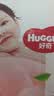 好奇（Huggies）铂金装小桃裤纸尿裤NB32(5kg以下)【散热口碑王】 实拍图
