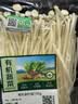 有机金针菇150g 实拍图