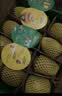 佳沛（zespri）新西兰金奇异果12粒特大果124-146g猕猴桃水果礼盒 实拍图