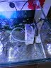 森森鱼缸过滤器三合一内置小型水族箱过滤系统增氧泵XQP-1000F 15W 实拍图