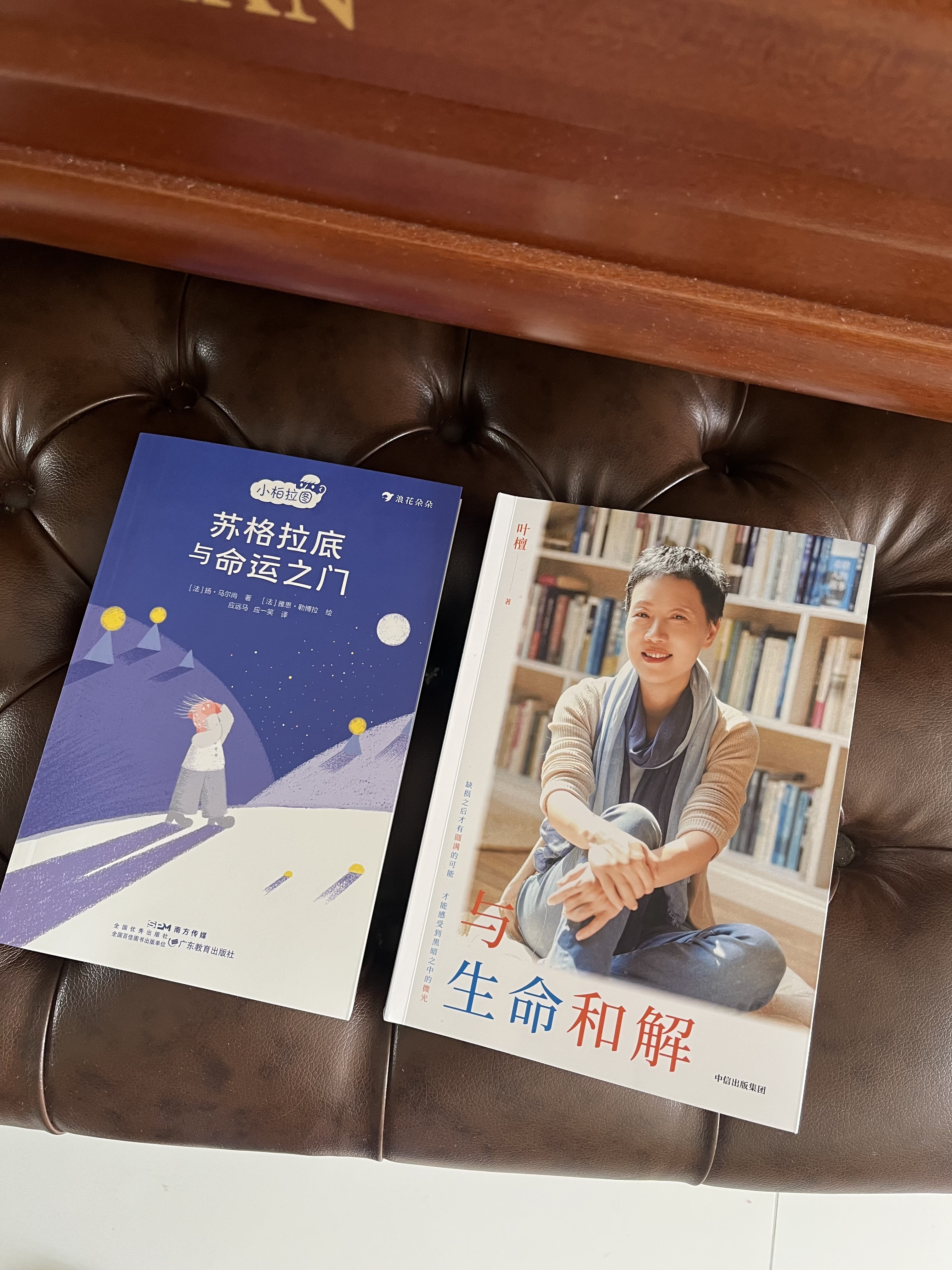 与生命和解 叶檀作品 叶檀抗癌纪实 叶檀财经 叶檀新书 自我和解 情绪内耗 中年焦虑 女性力量 生死观 生命感悟 中信出版社 实拍图