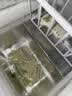 荣事达（Royalstar）小冰柜家用小型冷冻保鲜迷你冷藏商用卧式冷柜单用储母乳柜节能省电 128白色【可囤60斤肉 加厚发泡 强制冷】 实拍图