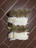 皇家狗粮幼犬奶糕幼犬狗粮宠物小型犬MIS30全价犬粮 ≤2月1KG 实拍图