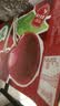 伊利【时代少年团同款】优酸乳车厘子味250ml*24盒 中秋礼品礼盒装 实拍图
