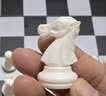 友邦（UB） 国际象棋黑白色磁性可折叠便携培训教学用棋露营(中号) 实拍图