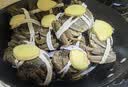 【活蟹】湖鲜阳澄 大闸蟹 去绳足重 全母蟹2.3-2.6两 8只 鲜活超大螃蟹中秋国庆礼盒装 实拍图