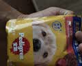 宝路狗零食主食软包罐头 妙鲜包进口成犬罐头100g*12牛肉味整箱装 实拍图